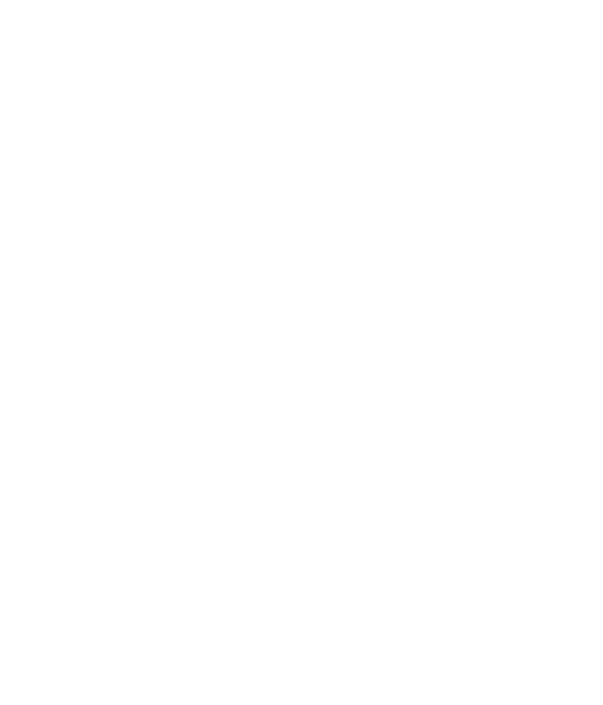 あなたは銀座の古いビルの前で立ち止まり、手元のチケットを確認した。
ビルに入ると時間航空のスタッフが話しかけてくる。「お待ちしておりました！ れから向かうのは1918年秋。旅先で、旅行者だと怪しまれすぎるといけません。皆さまにはこれより当時の流行服に身を包んでいただきます」あなたは衣装に身を包み、時間旅行に出かける。大正時代、そこは世界が自由で煌びやかに広がっていくようにも思え世界が窮屈で無為に滅びていくようにも思えた時代。「………赤紙が届いたんだ」「シベリアにいくということか」そこで出会う人々と、1枚の写真が織りなす物語。
あなたは登場人物の一人となり、物語を紡いでいく。