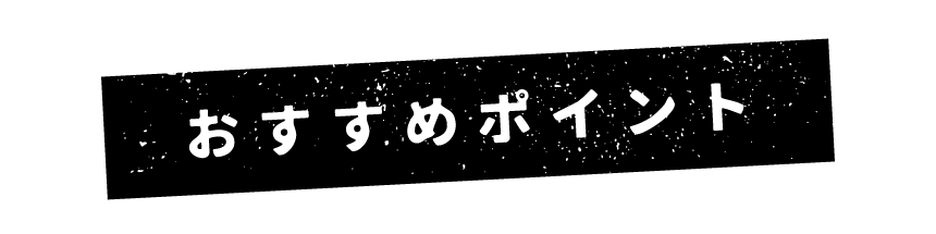 Point おすすめポイント