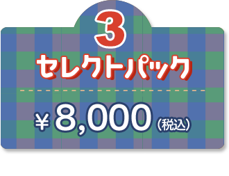 3セレクトパック ¥8,000 GOTO適用で ¥6,400