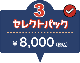 3セレクトパック ¥8,000 GOTO適用で ¥6,400
