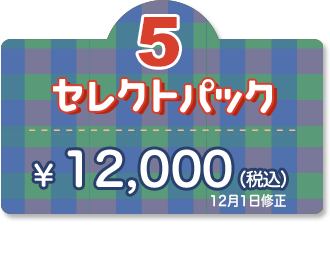 5セレクトパック ¥12,000 GOTO適用で ¥10,000