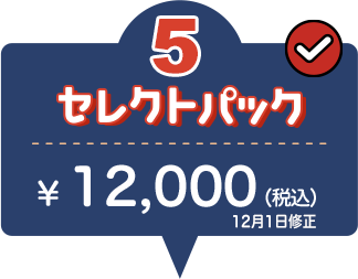 5セレクトパック ¥12,000 GOTO適用で ¥10,000